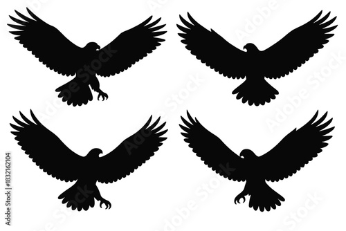 Four majestic black silhouettes of eagles soaring with wings spread wide against a white background