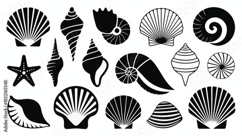 High-quality black and white seashell illustrations, 15 unique shells, spiral and radial patterns, starfish accent, decorative marine life silhouettes on white background.