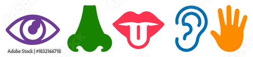 five senses human body icons set
