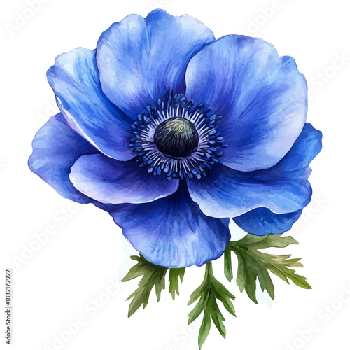 Anemone Flower, soft and charming watercolor, isolated on a white background, delicate and elegant style.