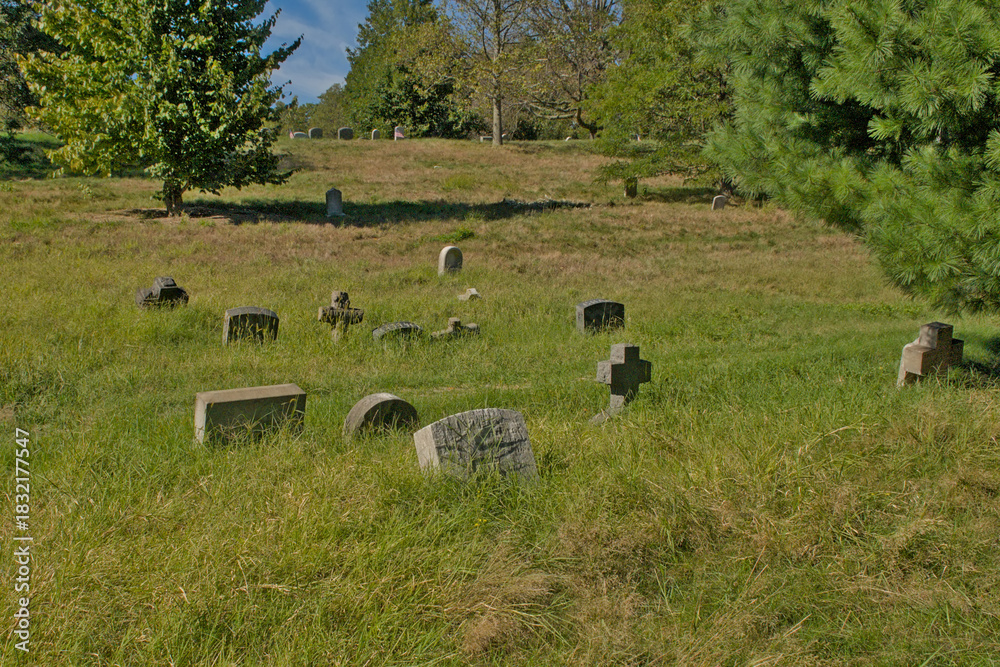 Obraz premium Meadow with tomb stones in Green-Wood cemetery, Brooklyn, New York City, usa 