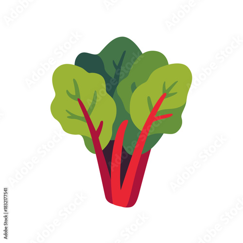 Fresh green swiss chard leafy vegetable, isolated flat style vector illustration