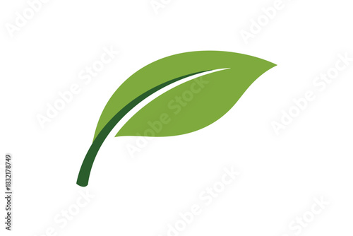 Green leaf icon on white background illustrating eco-friendly concept