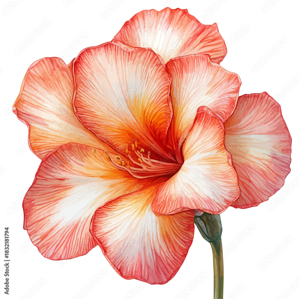 Εκτύπωση καμβά Desert Rose Flower, lively watercolor vector drawing with intricate brush, isolated on a white background