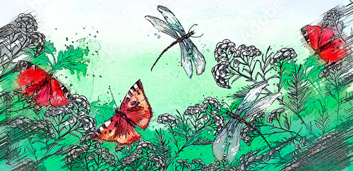 Watercolor illustration. Dragonfly flies on the background of greenery, grass. Immortelle plant, tansy, wild herbs. Abstract  paint splash. Red poppy. Summer landscape with a butterfly and a dragonfly