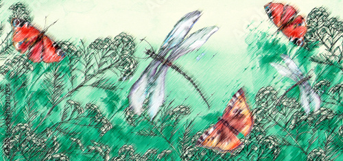 Watercolor illustration. Dragonfly flies on the background of greenery, grass. Immortelle plant, tansy, wild herbs. Abstract  paint splash. Red poppy. Summer landscape with a butterfly and a dragonfly