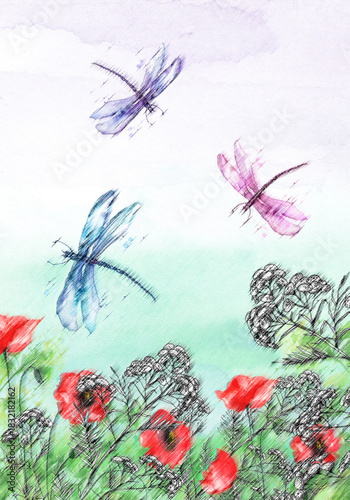 Watercolor illustration. Dragonfly flies on the background of greenery, grass. Immortelle plant, tansy, wild herbs. Abstract  paint splash. Red poppy. Summer landscape with a butterfly and a dragonfly