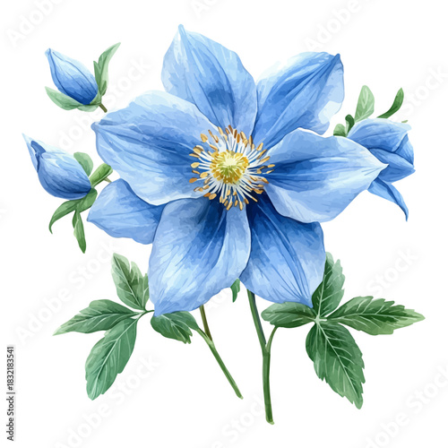 Columbine Flower, serene watercolor vector artwork with smooth washes of color and refined textures, isolated on a white background.
