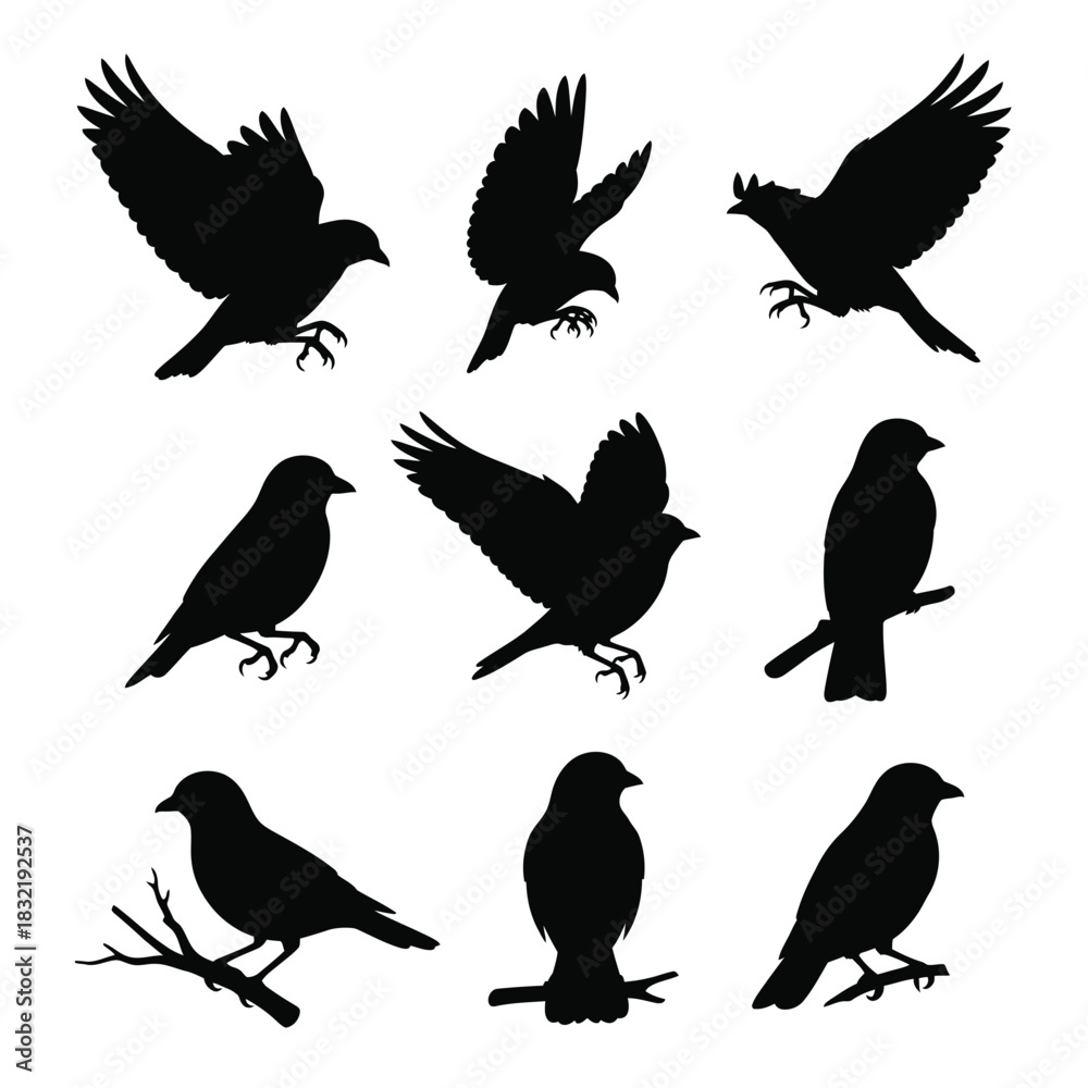 Obraz premium Placeholder text 'vector file' displayed on a clean white background