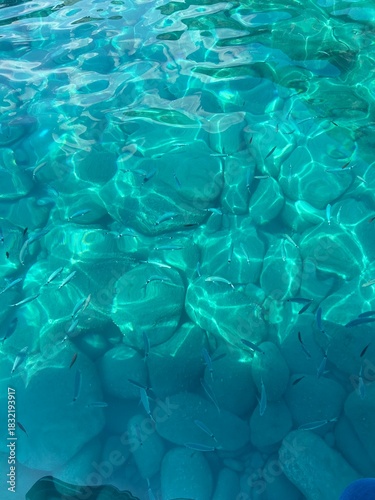Acqua  del mare in Liguria