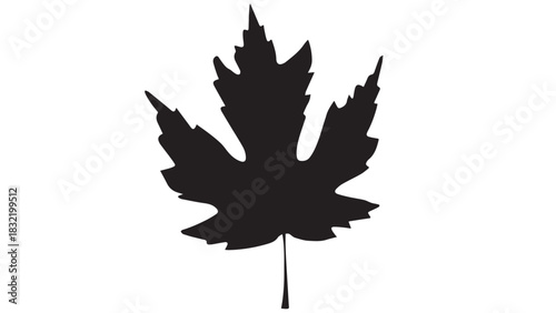 Hand holding a red maple leaf silhouette isolated on white background