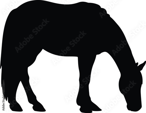 Silhouette animals illustration featuring a horse and camel in a simple vector style