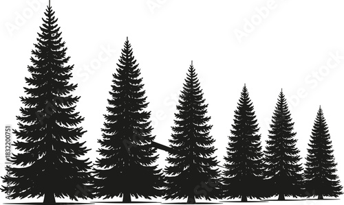 Cad drawing flat vector illustration, pine tree silhouette lineup, seven descending black shapes, forest growth icons, nature design element