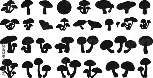 Mushroom silhouettes, edible and wild fungi icons set, forest mushroom illustration, toadstool collection, 