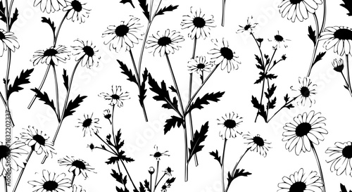 Delicate hand drawn daisy floral pattern for elegant and natural designs, evoking springtime freshness and organic beauty in monochrome.