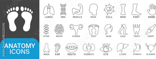 Anatomy Line art icon set. nose, mouth, ear, brain, head, lungs, and more. Human body parts and organs vector icons illustration