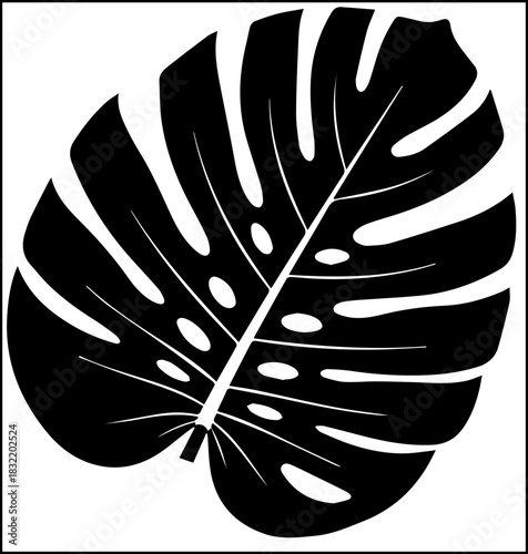 Bold black monstera leaf silhouette evokes tropical vibes and modern natural decor, perfect for design projects seeking organic elegance and vibrant greenery.
