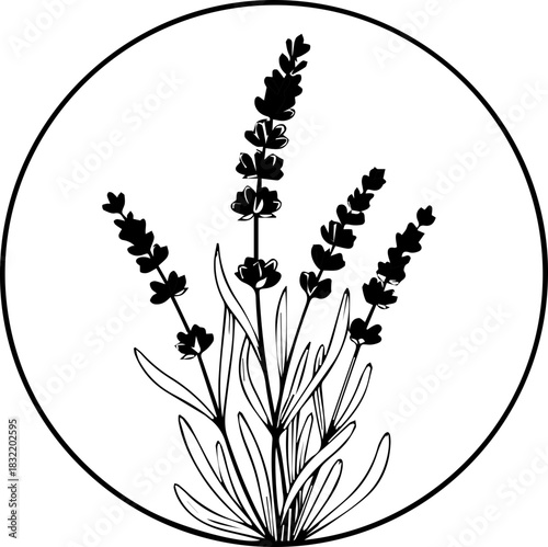 Elegant lavender sprig illustration within a clean circle, evoking natural beauty and serene wellness for modern brands seeking organic appeal and calming aesthetics.