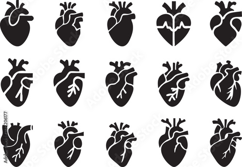 Set of anatomical heart icon Set, Human anatomical heart, heartbeat, cardiovascular, anatomy, medical, health, cardiology illustration, biology, organ, human heart collection, Vector illustration !
