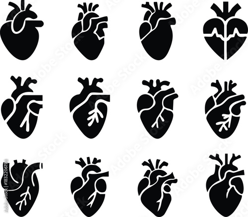 Set of anatomical heart icon Set, Human anatomical heart, heartbeat, cardiovascular, anatomy, medical, health, cardiology illustration, biology, organ, human heart collection, Vector illustration !