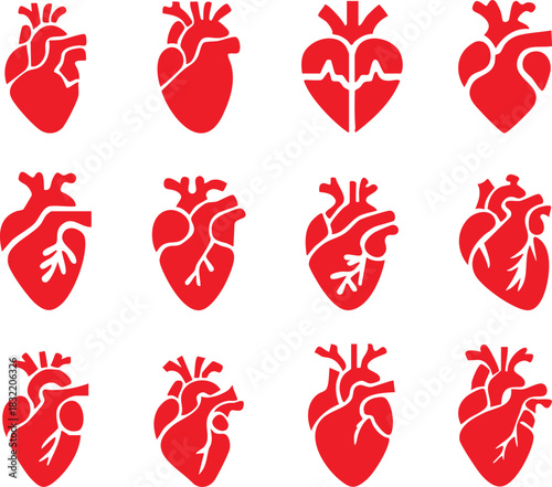 Set of anatomical heart icon Set, Human anatomical heart, heartbeat, cardiovascular, anatomy, medical, health, cardiology illustration, biology, organ, human heart collection, Vector illustration !