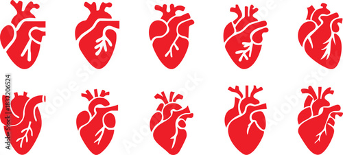 Set of anatomical heart icon Set, Human anatomical heart, heartbeat, cardiovascular, anatomy, medical, health, cardiology illustration, biology, organ, human heart collection, Vector illustration !