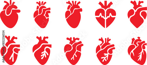 Set of anatomical heart icon Set, Human anatomical heart, heartbeat, cardiovascular, anatomy, medical, health, cardiology illustration, biology, organ, human heart collection, Vector illustration !