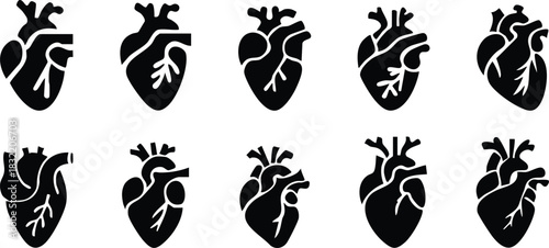 Set of anatomical heart icon Set, Human anatomical heart, heartbeat, cardiovascular, anatomy, medical, health, cardiology illustration, biology, organ, human heart collection, Vector illustration !