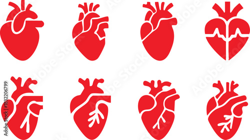 Set of anatomical heart icon Set, Human anatomical heart, heartbeat, cardiovascular, anatomy, medical, health, cardiology illustration, biology, organ, human heart collection, Vector illustration !