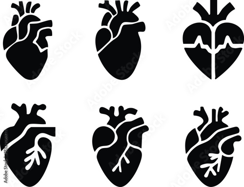 Set of anatomical heart icon Set, Human anatomical heart, heartbeat, cardiovascular, anatomy, medical, health, cardiology illustration, biology, organ, human heart collection, Vector illustration !