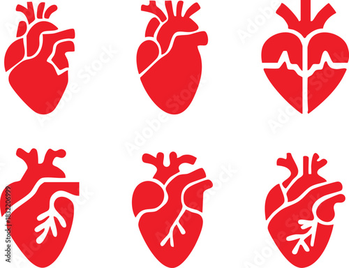 Set of anatomical heart icon Set, Human anatomical heart, heartbeat, cardiovascular, anatomy, medical, health, cardiology illustration, biology, organ, human heart collection, Vector illustration !