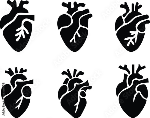 Set of anatomical heart icon Set, Human anatomical heart, heartbeat, cardiovascular, anatomy, medical, health, cardiology illustration, biology, organ, human heart collection, Vector illustration !