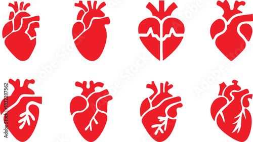 Set of anatomical heart icon Set, Human anatomical heart, heartbeat, cardiovascular, anatomy, medical, health, cardiology illustration, biology, organ, human heart collection, Vector illustration !