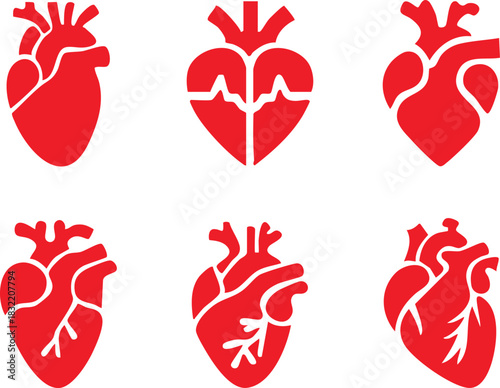 Set of anatomical heart icon Set, Human anatomical heart, heartbeat, cardiovascular, anatomy, medical, health, cardiology illustration, biology, organ, human heart collection, Vector illustration !