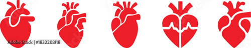 Set of anatomical heart icon Set, Human anatomical heart, heartbeat, cardiovascular, anatomy, medical, health, cardiology illustration, biology, organ, human heart collection, Vector illustration !