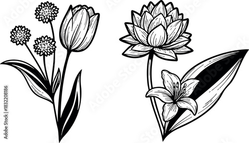 Hand drawn line art bouquet set with tulip, daisy cluster, lotus and lily flowers, black and white vector art for coloring pages in minimalist botanical style