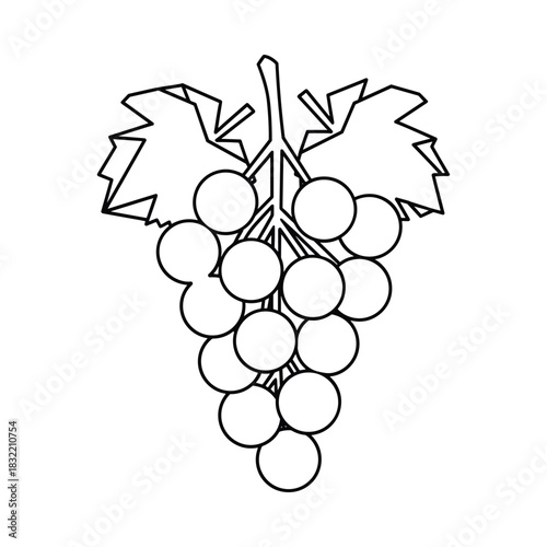 Simple outline drawing of a bunch of grapes with leaves