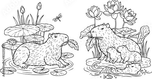 Whimsical line art capybara family in lotus pond, adult swimming and eating leaves, playful pups on water bank with lily pads and dragonfly details