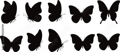 Silhouette butterfly collection featuring various wing shapes, natural insect profiles, flying and resting poses, perfect for nature, design, patterns, and decorative projects