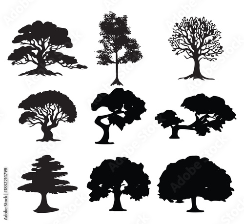 silhouette tree line drawing set, Side view, set of graphics trees elements outline symbol for architecture and landscape design drawing  vector .