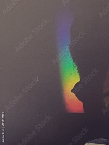 Fotografi Rainbow Silhouette!  A quiet moment where light meets shadows, painting a fleeting rainbow beside a gentle silhouette