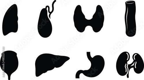 Human internal organs silhouette set vector illustration for medical purposes