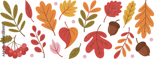 Autumn leaves collection, colorful fall foliage illustration with acorns, botanical seasonal elements, nature decorative design