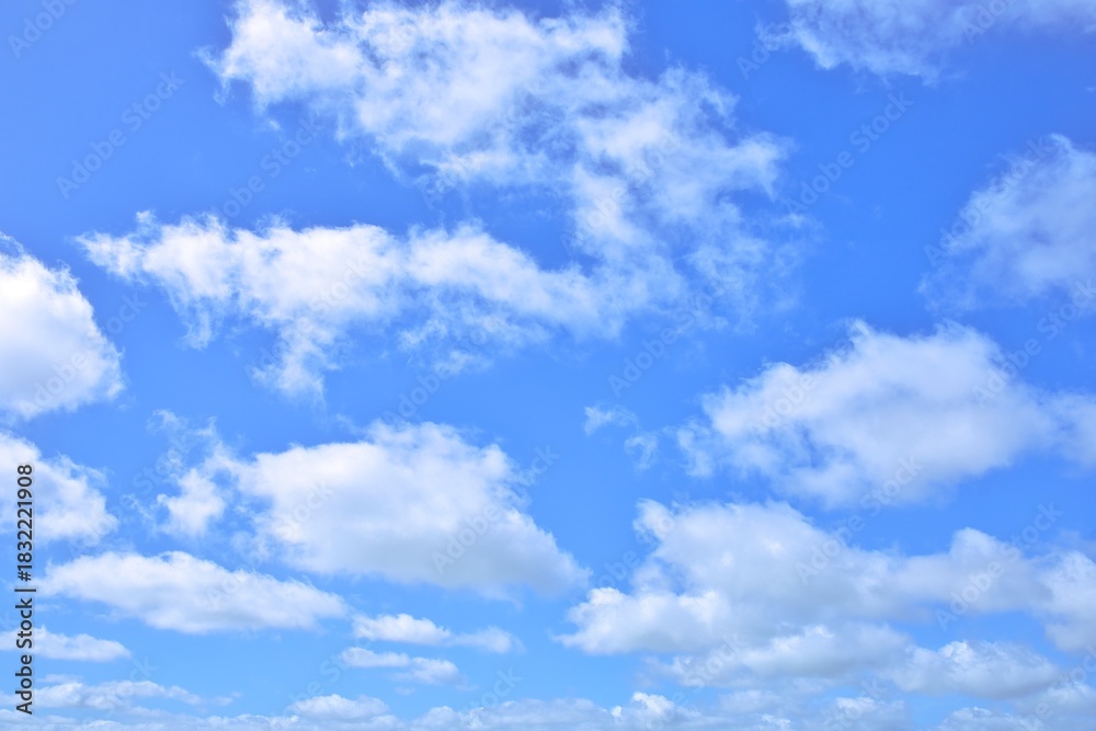 Fototapeta premium Wonderful New Zealand clean and clear blue sky with some cloud. Makes great for a sky replacement.