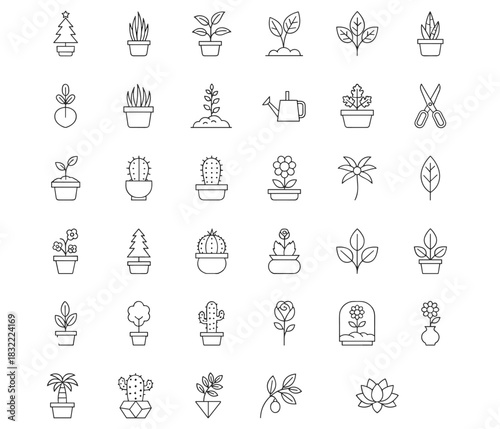 Plants, gardening, nature, leaves, flowers, cactus, tools, icons, terrarium, potted, flat, vector, illustration, black, white, minimal, line, art, botanical, elements