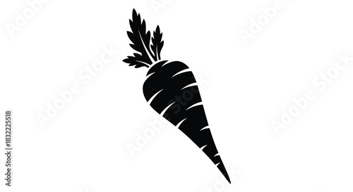 A graphic depiction of a single carrot with detailed foliage presented as a silhouette