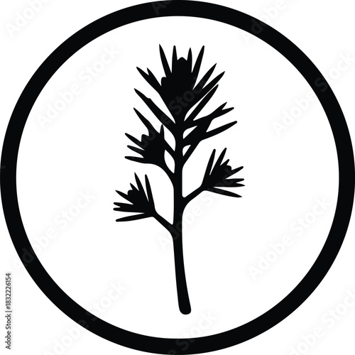 Illustration dill herb plant silhouette culinary flavoring spice vector