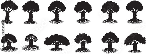 Stylized black tree silhouettes vector collection showcasing a variety of shapes, extensive root systems, and subtly integrated human faces or profiles within their trunks, embodying nature's mystery