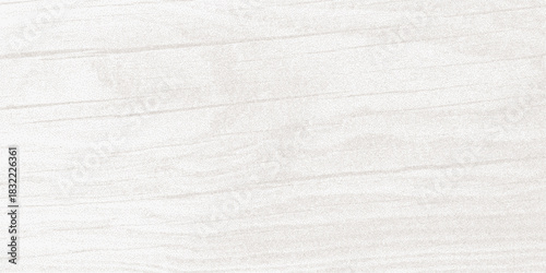 Weathered white wood grain with clear tree ring pattern. Natural trunk imprint for eco design. Rustic texture for banners and templates.
