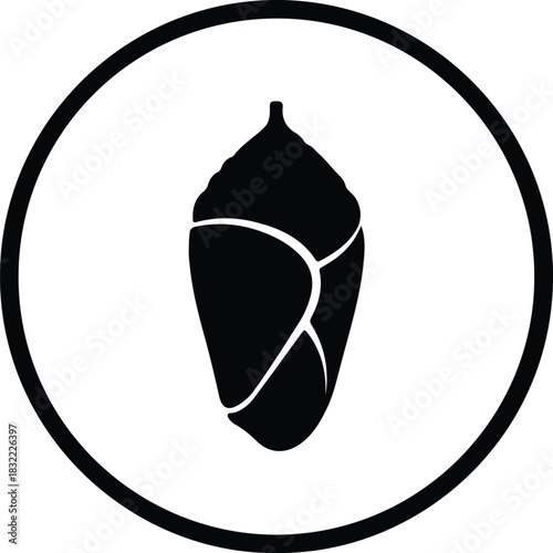 Illustration monarch butterfly chrysalis icon design within black circle silhouette vector